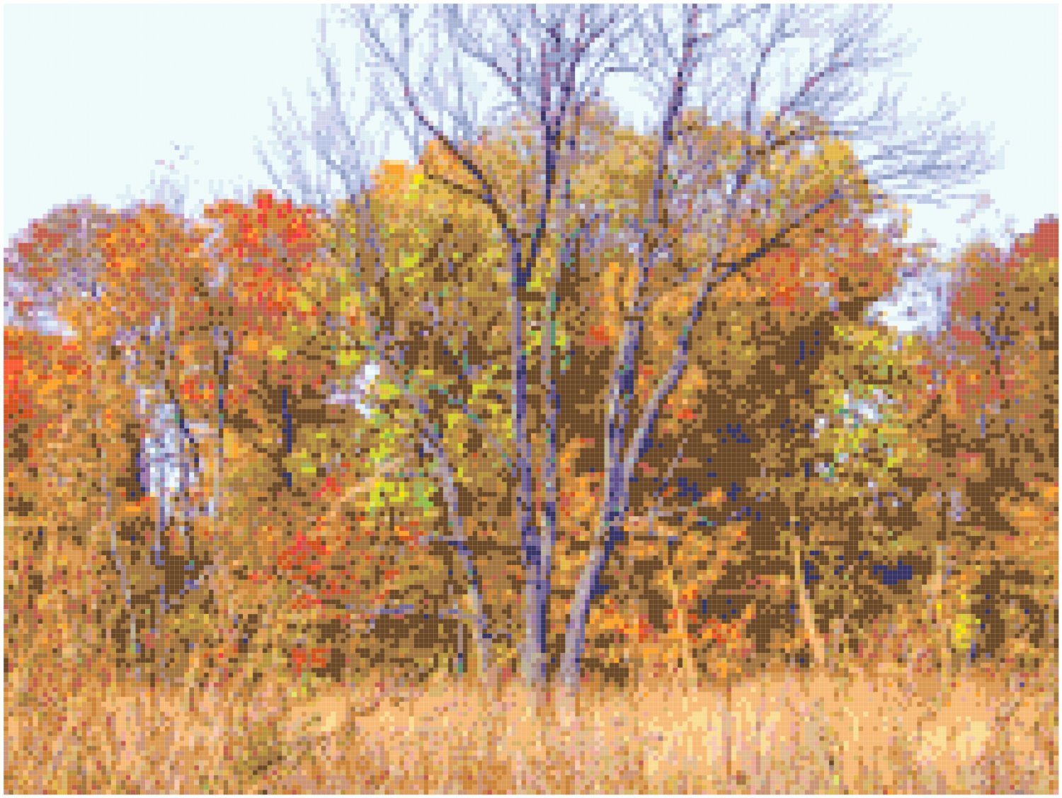 Autumn Field Landscape Pattern Chart Graph