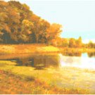 River Bank Landscape Pattern Chart Graph
