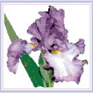 Royal Purple Iris Pattern Chart Graph Royal Purple Iris Pattern Chart Graph