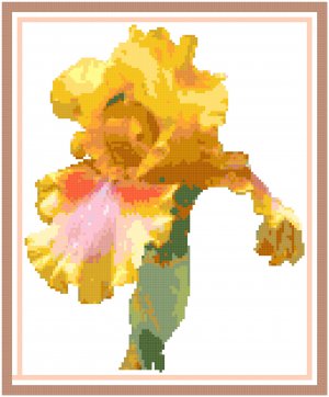 Golden Lady Iris Pattern Chart Graph