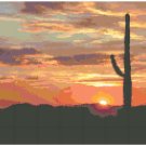 Desert Sunset Landscape Pattern Chart Graph