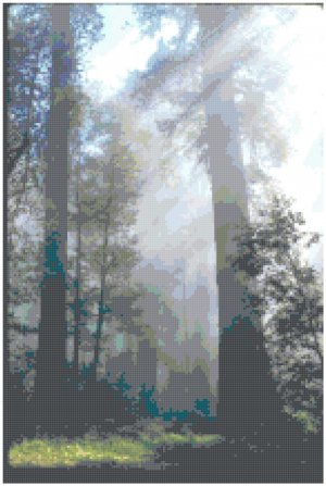 Sunbeams in the Forest Landscape Pattern Chart Graph