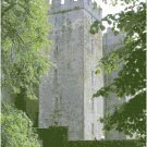 Bunratty Castle - Ireland Landscape Pattern Chart Graph