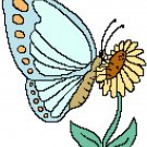 Butterfly Summer Pattern Chart Graph