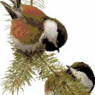 Chestnut Backed Chickadees Pattern Chart Graph