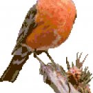 American Robin Pattern Chart Graph