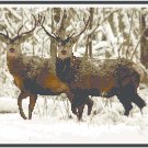 Two Deer in the Snow Pattern Chart Graph Two Deer in the Snow Pattern Chart Graph