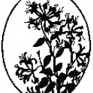Monarda Blossoms - blackwork Pattern Chart Graph