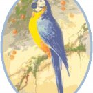 Blue Macaw Pattern Chart Graph