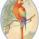 Scarlet Macaw Pattern Chart Graph