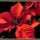 Deep Red Poinsettia Pattern Chart Graph