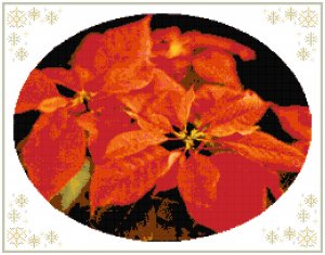 Christmas Poinsettia Pattern Chart Graph