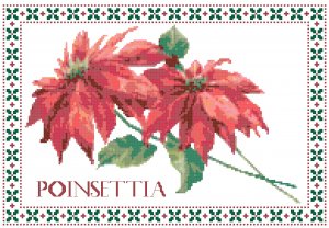 Poinsettia Pattern Chart Graph