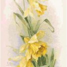 Daffodils Pattern Chart Graph