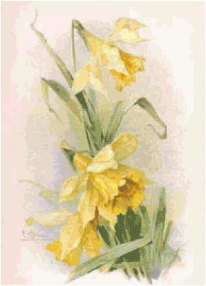 Daffodils Pattern Chart Graph