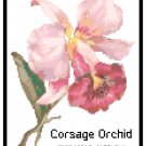 Corsage Orchid Pattern Chart Graph