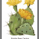 Prickly Pear Cactus Pattern Chart Graph