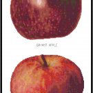 Apples 2 Pattern Chart Graph