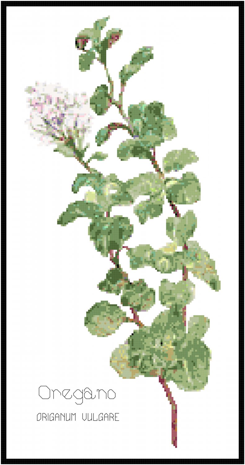 Oregano Herb Pattern Chart Graph