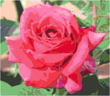 Newport News Rose 2 Pattern Chart Graph
