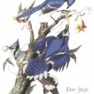 Audubon Blue Jays Pattern Chart Graph