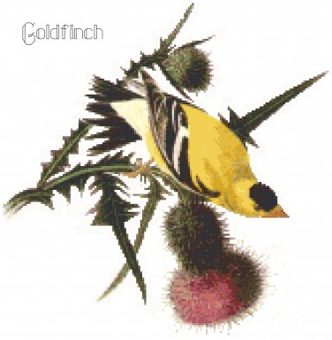 Audubon Goldfinch Pattern Chart Graph