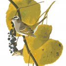 Audubon White Crowned Sparrow Pattern Chart Graph