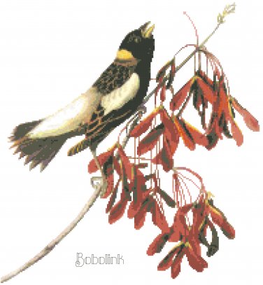 Audubon Bobolink Pattern Chart Graph