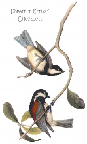 Audubon Chestnut Backed Chickadees Pattern Chart Graph
