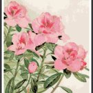 Azalea Blooms Pattern Chart Graph
