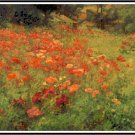 In Poppyland - John Ottis Adams Pattern Chart Graph In Poppyland - John Ottis Adams Pattern Chart Graph