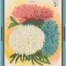 Antique Aster Flower Seed Packet Pattern Chart Graph