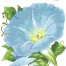 Antique Morning Glory Flower Seed Packet Pattern Chart Graph Antique Morning Glory Flower Seed Packet Pattern Chart Graph