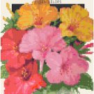 Antique Four O'Clock Flower Seed Packet Pattern Chart Graph Antique Four O'Clock Flower Seed Packet Pattern Chart Graph