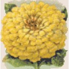 Zinnia Flower Seed Packet Pattern Chart Graph