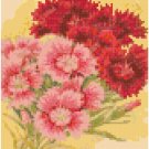Antique Pinks Flower Seed Packet Pattern Chart Graph Antique Pinks Flower Seed Packet Pattern Chart Graph