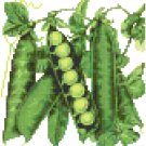 Antique Peas Seed Packet Pattern Chart Graph
