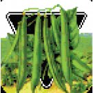Antique Beans Seed Packet Pattern Chart Graph Antique Beans Seed Packet Pattern Chart Graph