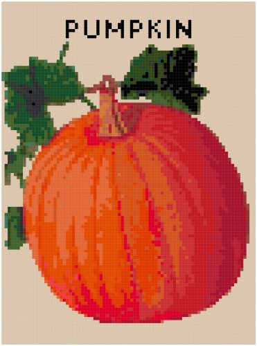 Antique Pumpkin Seed Packet Pattern Chart Grapj