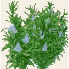 Antique Rosemary Seed Packet Pattern Chart Graph Antique Rosemary Seed Packet Pattern Chart Graph