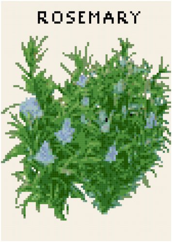 Antique Rosemary Seed Packet Pattern Chart Graph