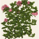 Antique Thyme Seed Packet Pattern Chart Graph