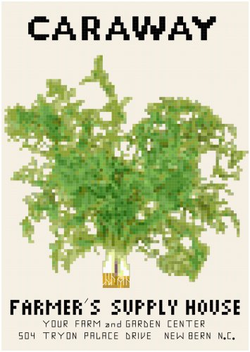 Antique Caraway Seed Packet Pattern Chart Graph