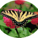 Tiger Swallowtail Butterfly Cross Stitch Pattern Chart Graph Tiger Swallowtail Butterfly Cross Stitch Pattern Chart Graph