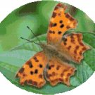 Zepher Anglewing Butterfly Cross Stitch Pattern Chart Graph