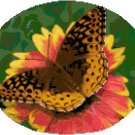 Zerene Fritillary Butterfly Cross Stitch Pattern Chart Graph Zerene Fritillary Butterfly Cross Stitch Pattern Chart Graph