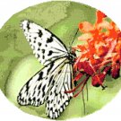 Paper Kite Butterfly Cross Stitch Pattern Chart Graph Paper Kite Butterfly Cross Stitch Pattern Chart Graph