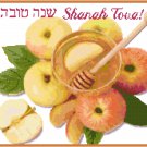 Rosh Hashanah Cross Stitch Pattern Chart Graph