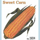 Country Sweet Corn Cross Stitch Pattern Chart Graph