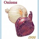Country Onion Pattern Chart Graph